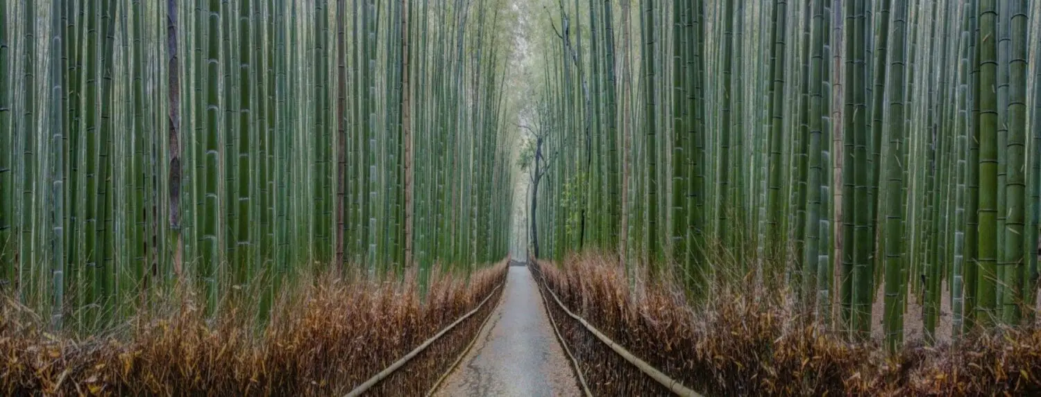 Background thiền